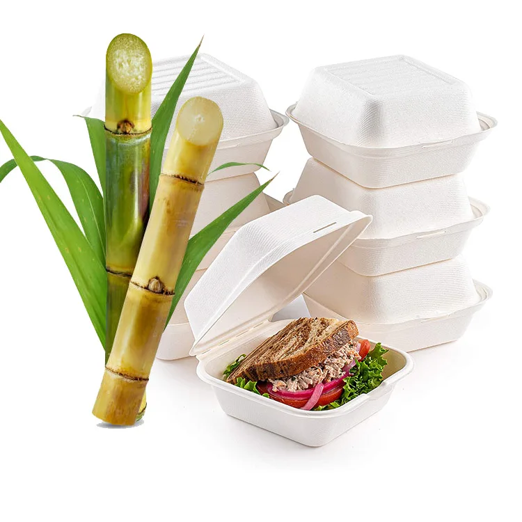 Изготовленная на заказ эко-биоразлагаемая одноразовая упаковка для фаст-фуда на вынос, комбинированная коробка для гамбургеров, коробка для гамбургеров из сахарного тростника, багасса, коробка для бургеров