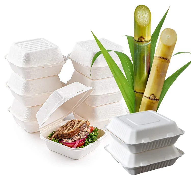 Новый дизайн, биоразлагаемый контейнер на вынос, на обед, бургер, еда, бургер, овальный контейнер для мякоти, две ячейки, коробка для жома сахарного тростника с крышкой