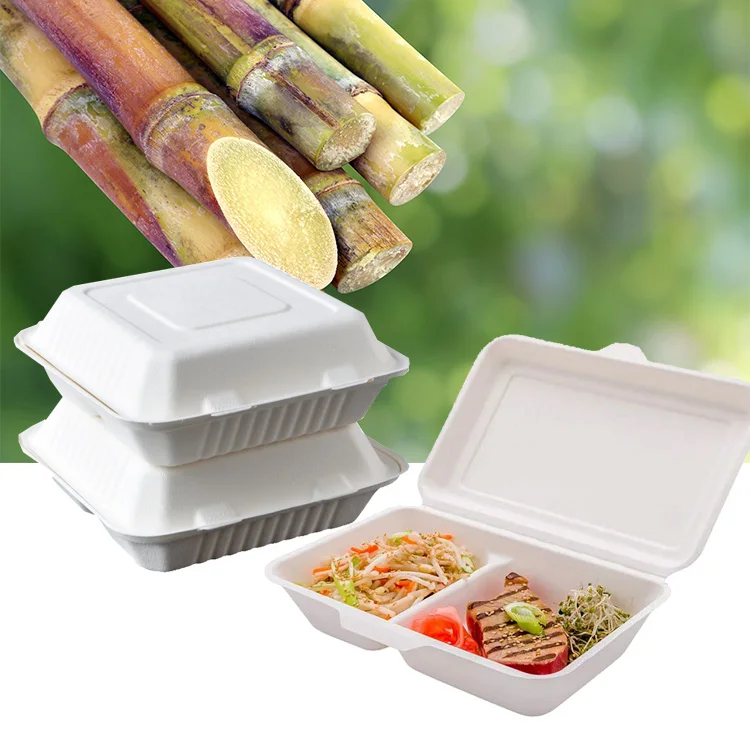 24 см биоразлагаемая упаковка для быстрого питания на вынос, багасса, упаковка на вынос, бумажная коробка для гамбургеров, мякоти сахарного тростника, обеда