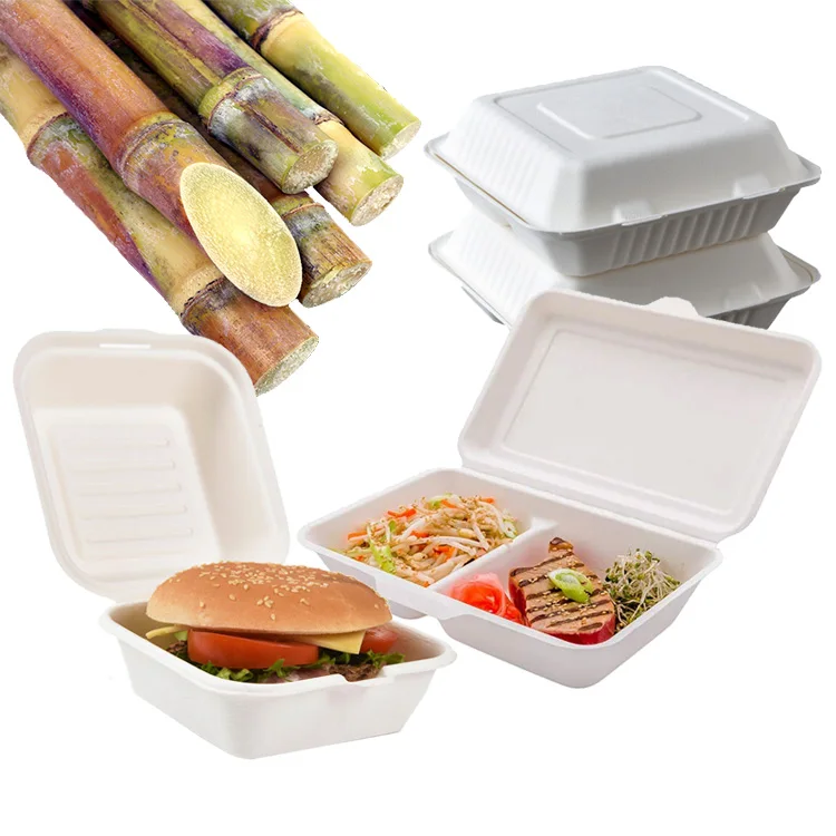 Экологически чистая еда на вынос, сахарный тростник, 8-дюймовый одноразовый контейнер для ланч-бокса из бумажной раскладушки из багассы