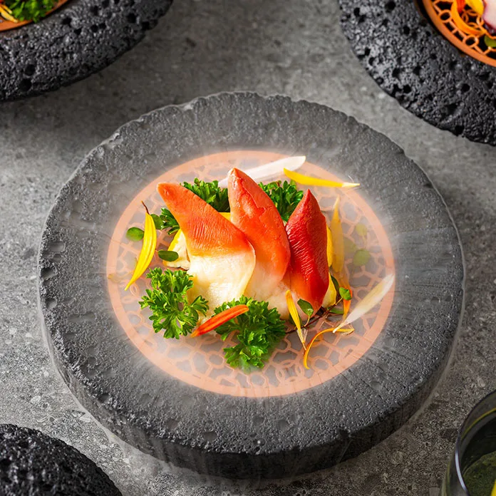 Creative Planet Bowl Unique Round Smoked Cup and Dry Ice Dish High Quality Fancy Dining Room Tableware for Home Use