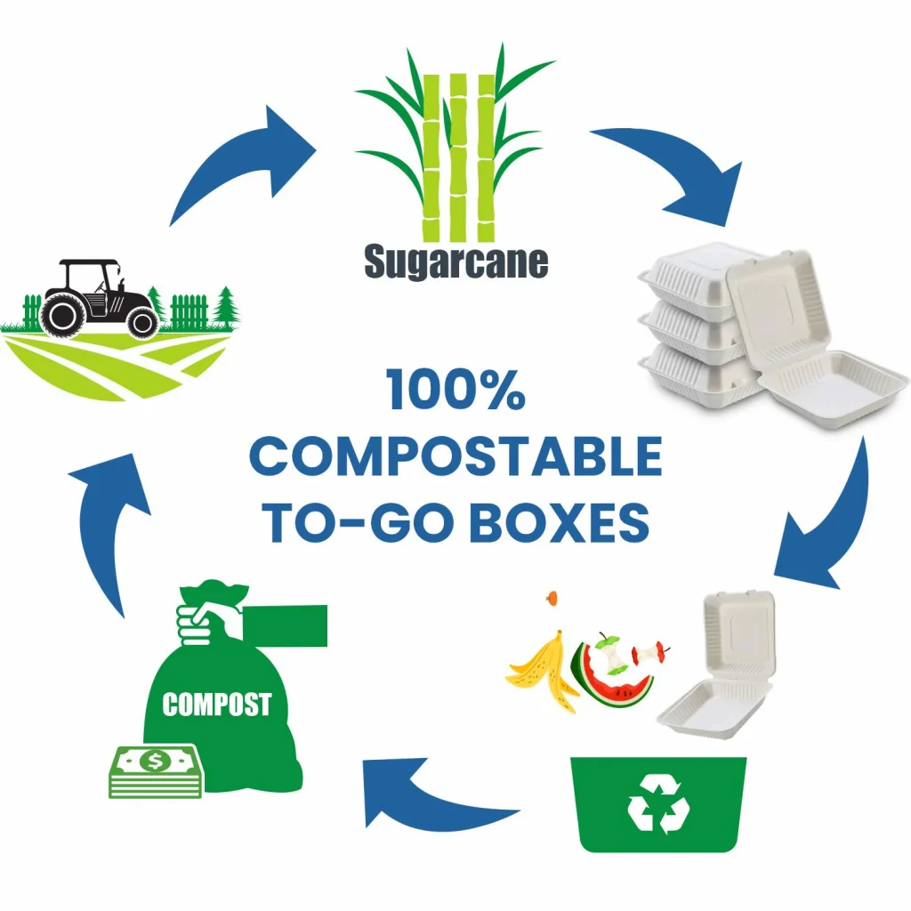 Биоразлагаемая компостируемая бумажная коробка на вынос, контейнер для целлюлозы, 3, 5, 6 отделений, коробка для еды, гамбургеров, суши, жома сахарного тростника