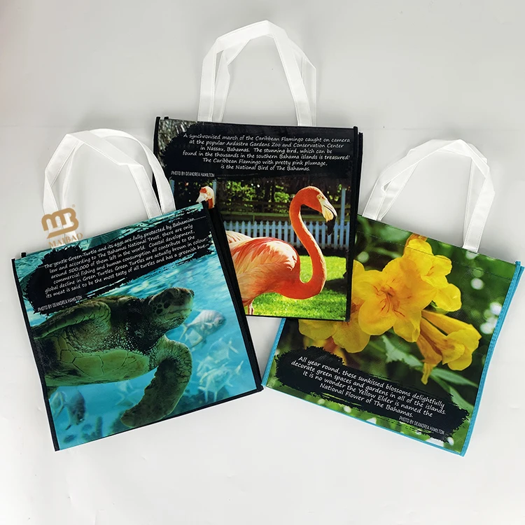 Пользовательский логотип напечатанный экологичный экологически чистый.