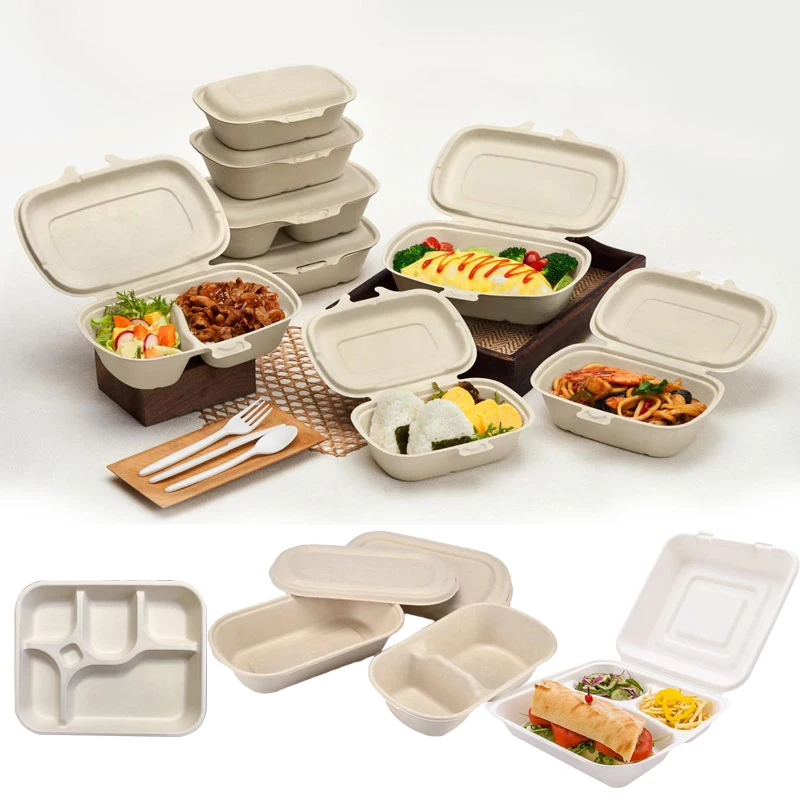 24 см 600 мл биоразлагаемые контейнеры для еды, пищевая ванна, волокно сахарного тростника, жом, целлюлоза, ланч-бокс с крышкой, пищевая бумажная коробка