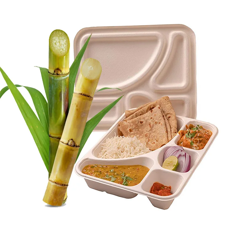 24 см 600 мл биоразлагаемые контейнеры для еды, пищевая ванна, волокно сахарного тростника, жом, целлюлоза, ланч-бокс с крышкой, пищевая бумажная коробка
