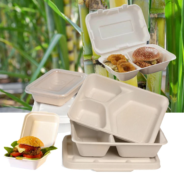 24 см 600 мл биоразлагаемые контейнеры для еды, пищевая ванна, волокно сахарного тростника, жом, целлюлоза, ланч-бокс с крышкой, пищевая бумажная коробка