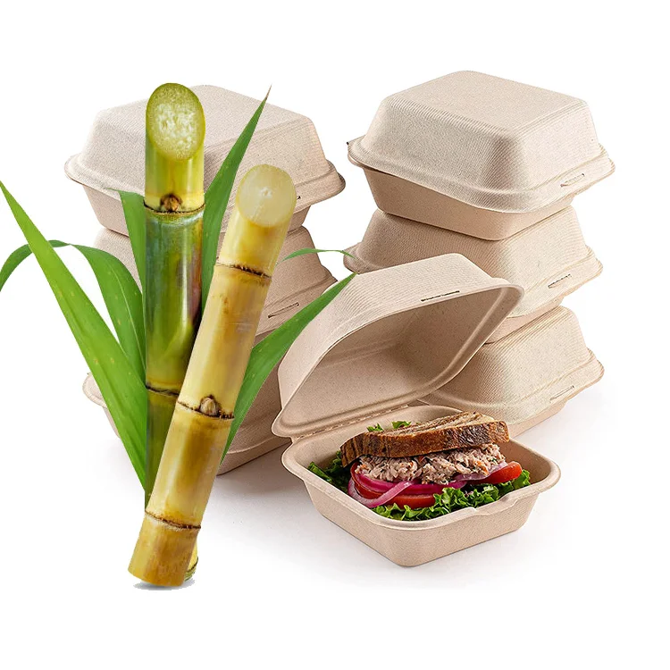 Экологически чистая еда на вынос, сахарный тростник, 8-дюймовый одноразовый контейнер для ланч-бокса из бумажной раскладушки из багассы