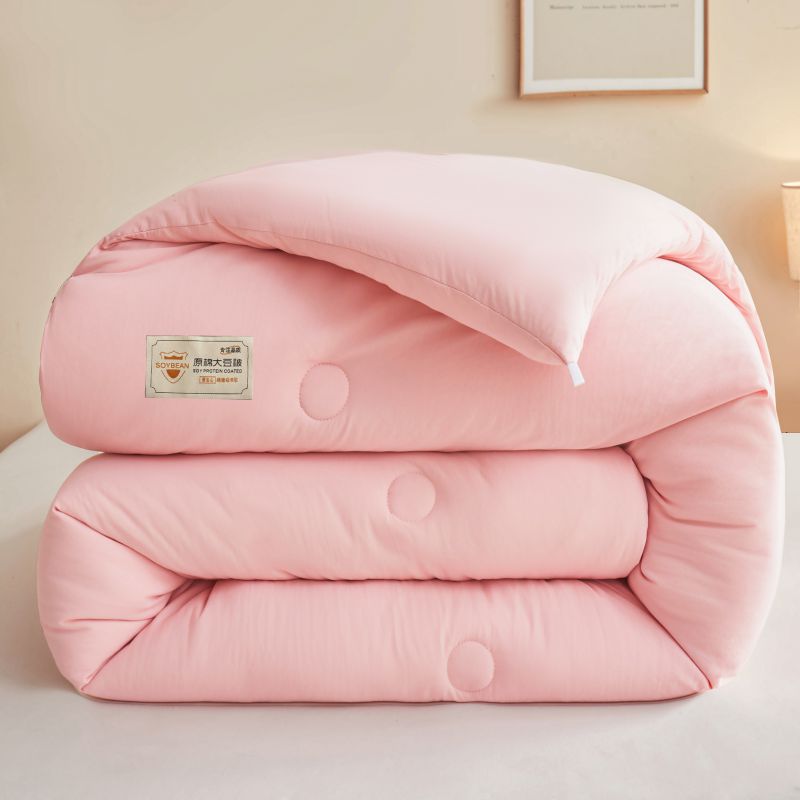 Προσαρμοσμένο σετ κρεβατιού ExtraThickness Comforter Σετ Χειμερινό πάπλωμα με γέμιση μικροϊνών Σετ σεντόνια σε χρώμα πολυεστέρα