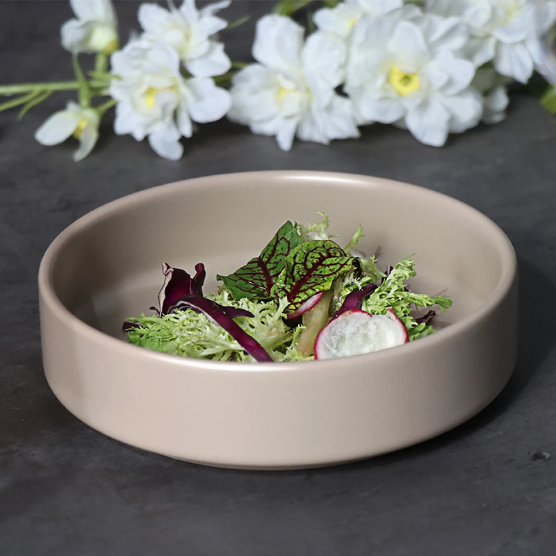 Высокое качество круглые керамические 10-дюймовые тарелки керамический фарфор для поставок ресторанов