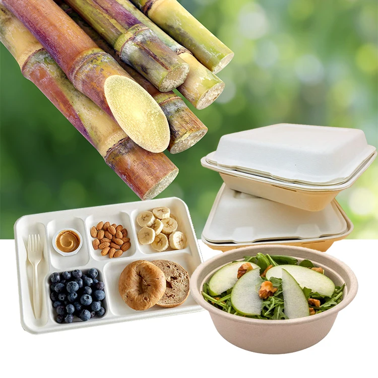 24 см биоразлагаемая упаковка для быстрого питания на вынос, багасса, упаковка на вынос, бумажная коробка для гамбургеров, мякоти сахарного тростника, обеда